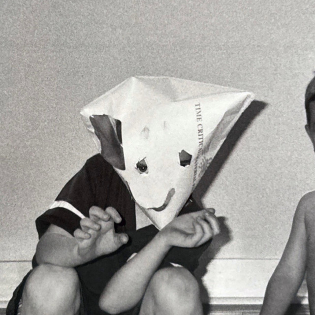 sim's computer virus