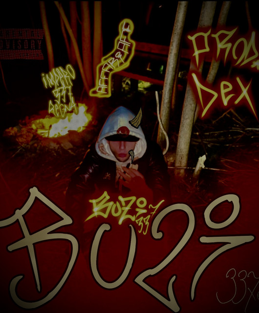 Buzi337