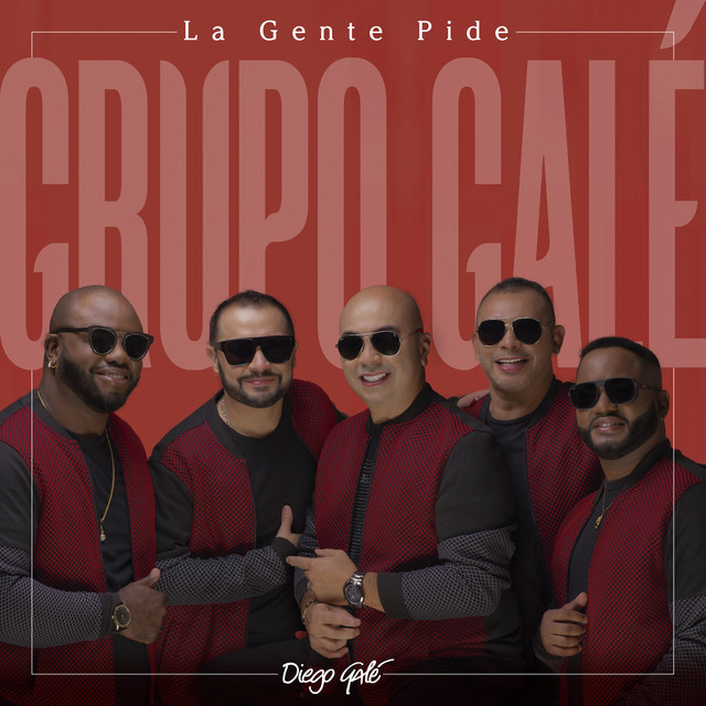 Grupo Galé image