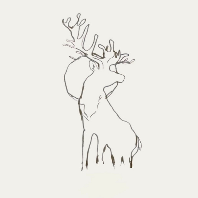 Deer in Headlights