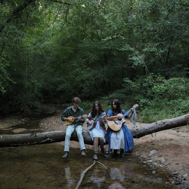 The Carolina Junebugs