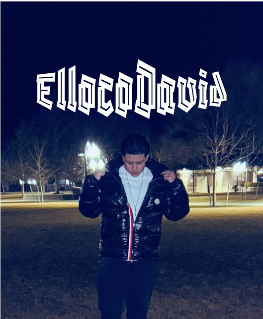 Ellocodavid