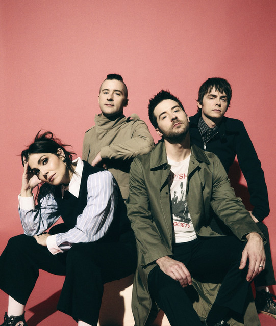 THE INTERRUPTERS