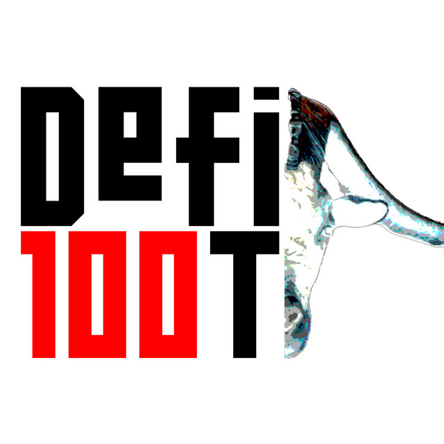 Defi100T