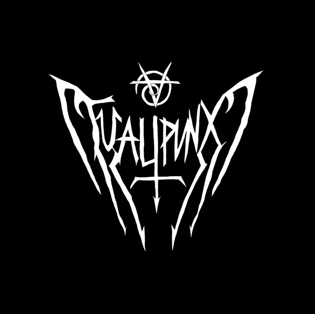 VIRTUAL PUNX ARCHIVE