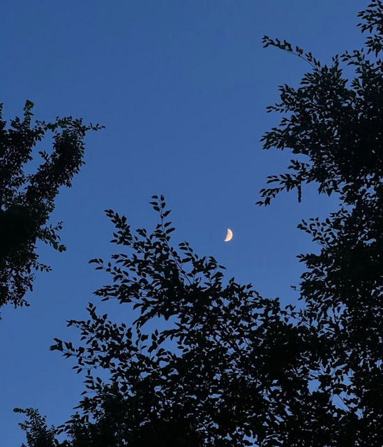 bluemoon.music