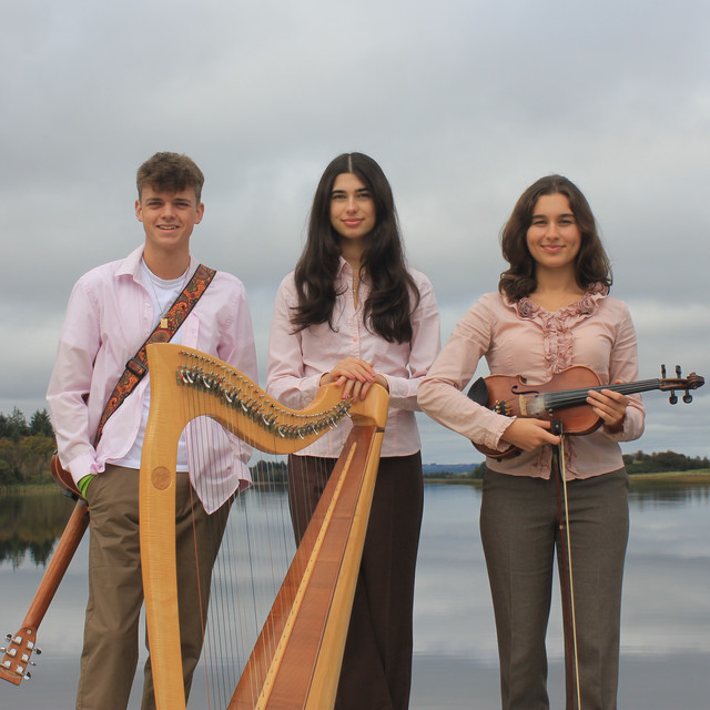 MacHenry and The Dog Roses