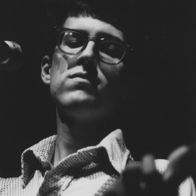 The American Analog Set image