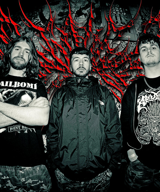 12 GAUGE AUTOPSY