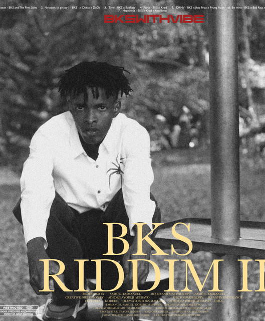 Bkswithvibe