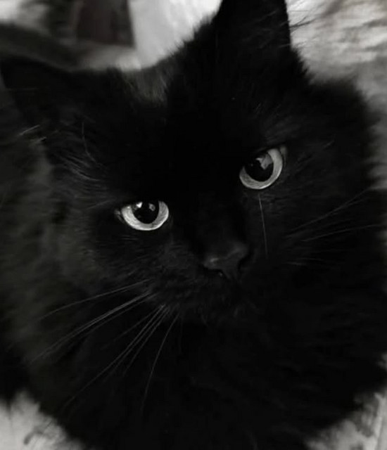 Kairo