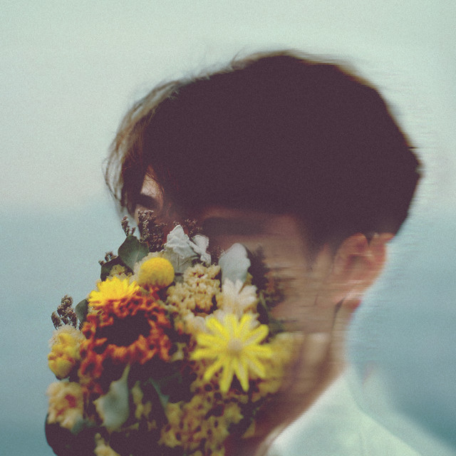 Daniel Toh image