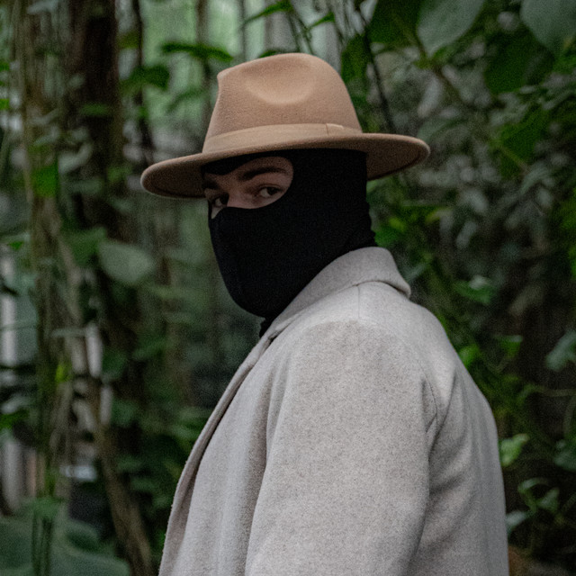 Vis | Spotify