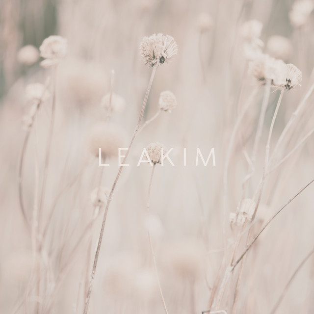 Leakim