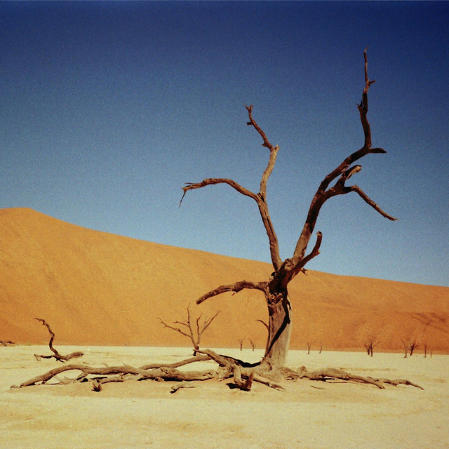 Dead Poet Warrior Zone
