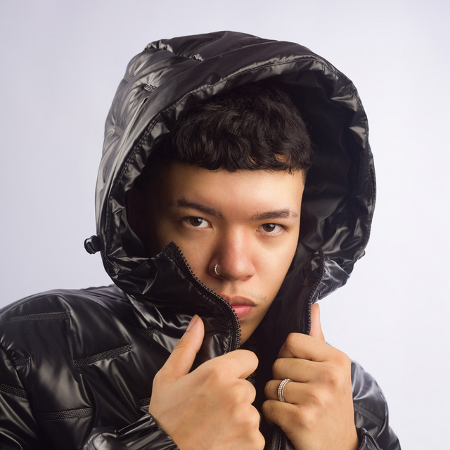 THE LEE | Spotify