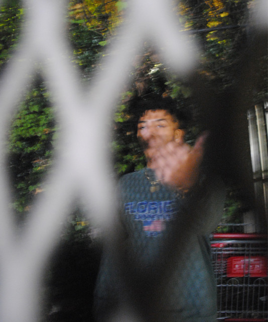 Sinsei | Spotify
