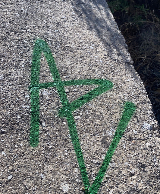 Ape