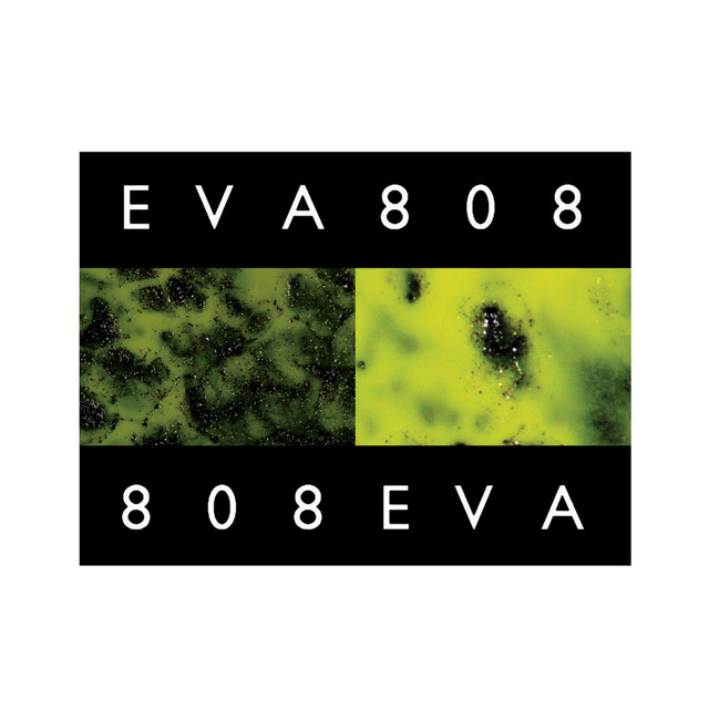 Eva808
