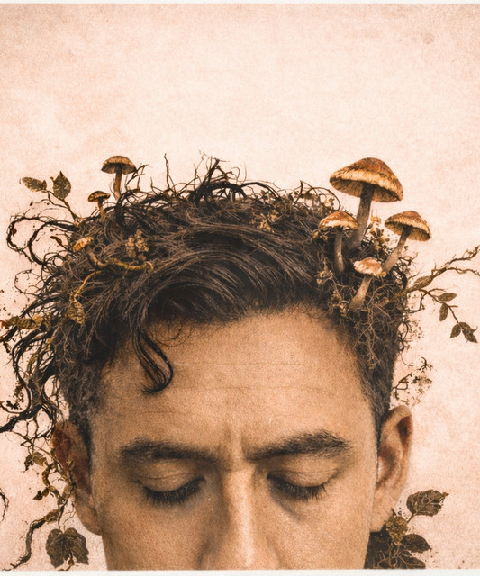 DEVIN