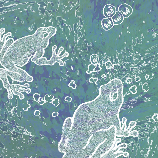 phoebes :: inclusions