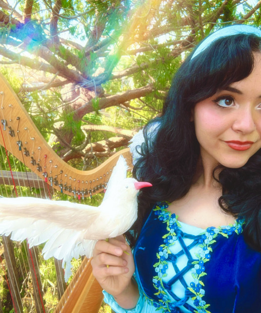 Rainbow Dove