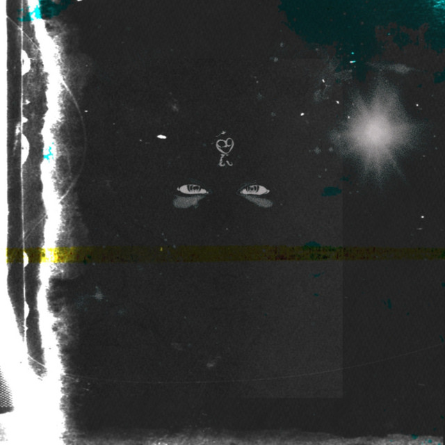 Fiber Blvck