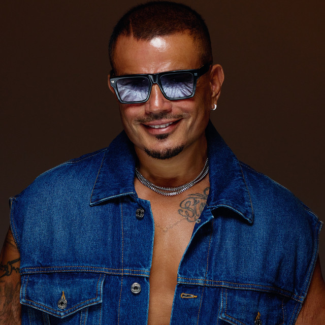 Amr Diab image