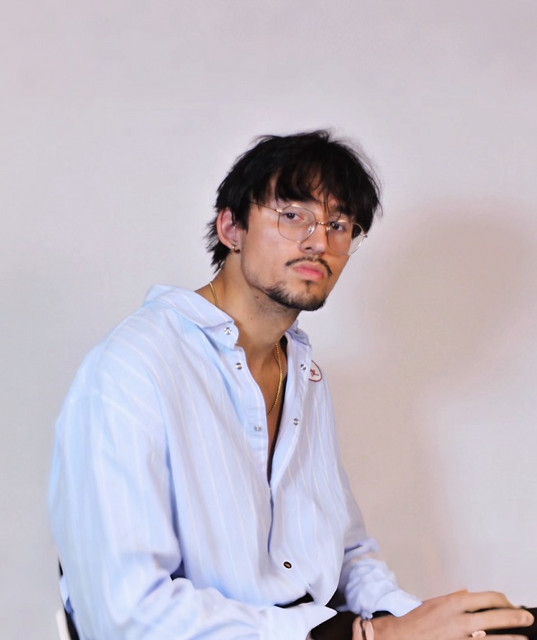 Musik Artist lil punch