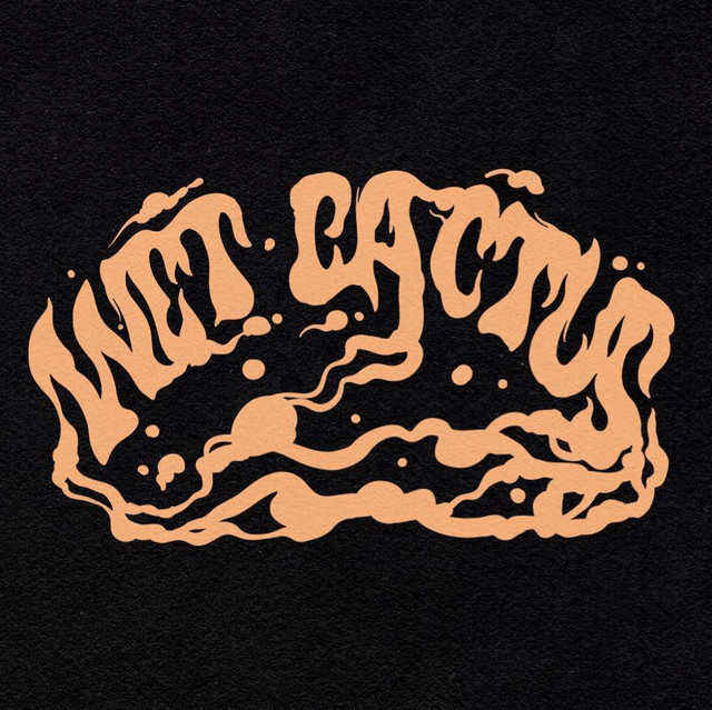 wet-cactus-concert-tour-history-concert-archives