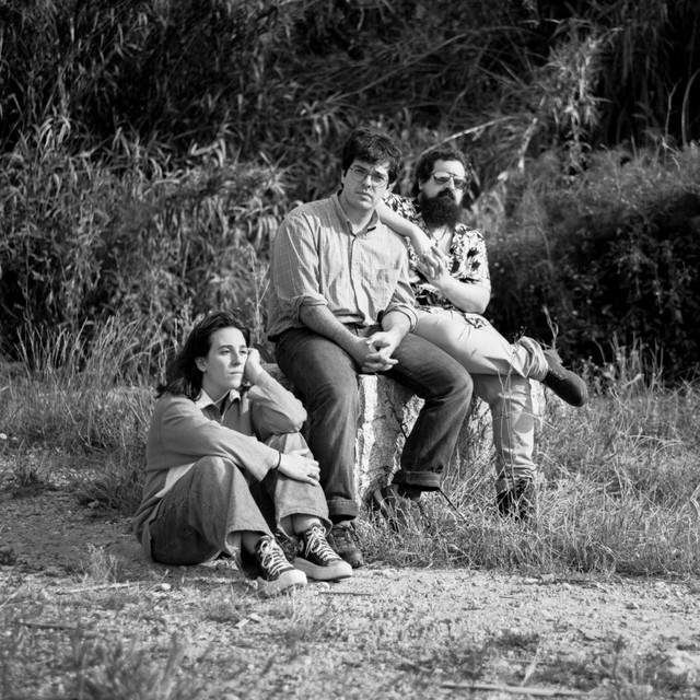 Pablo y los Ciervos Dorados