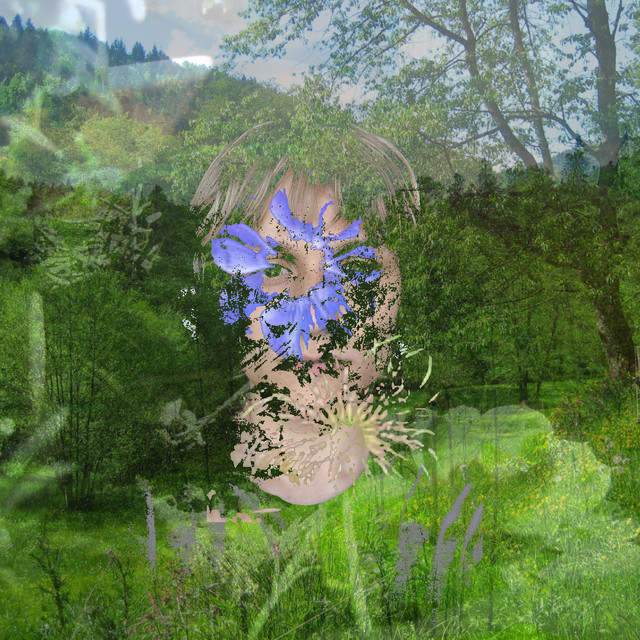 Venusian Friend