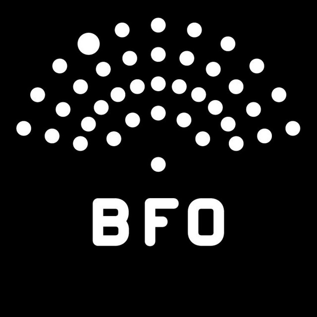 Budapest Festival Orchestra image