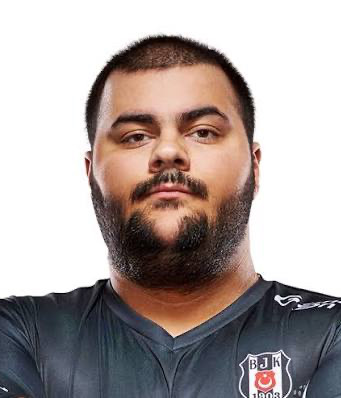 Albatroz