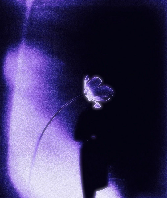 xalyssau