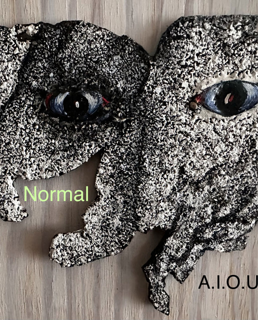 A.I.O.U