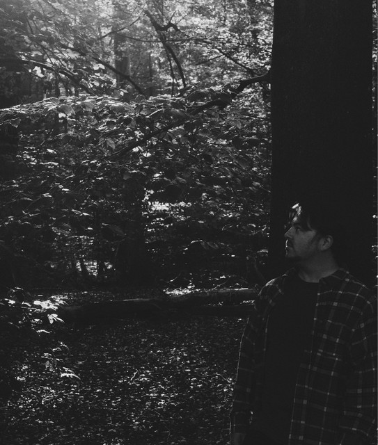 lightfades