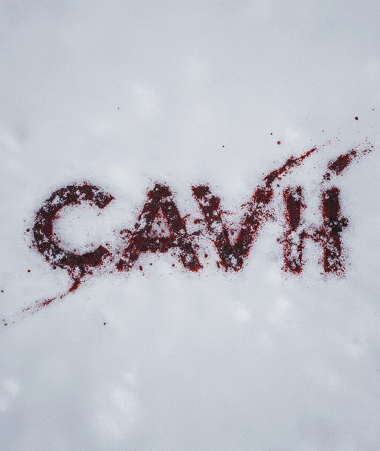 Cavii