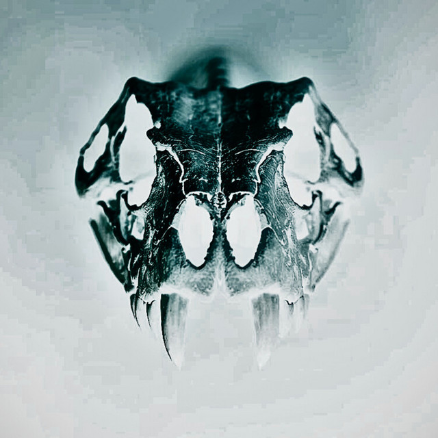 Silent Vesper