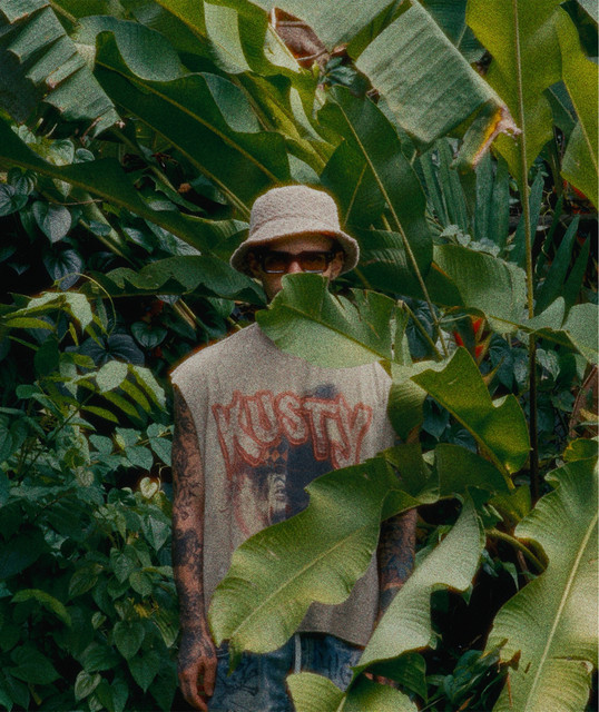 Zonk Rolan