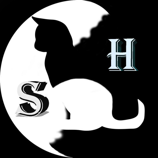 Oct 16, 2015: Sir Coyler and His Asthmatic Band / Sunset Flip / Satori ...