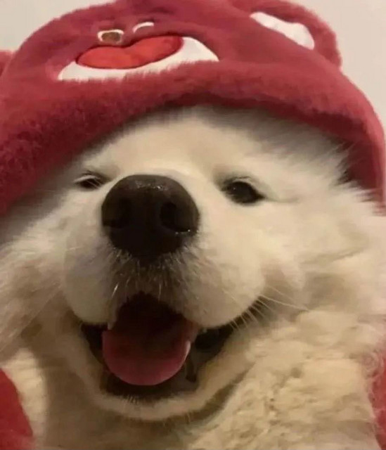 Runtz