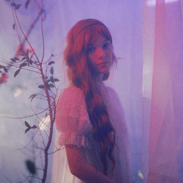 Maddie Medley image