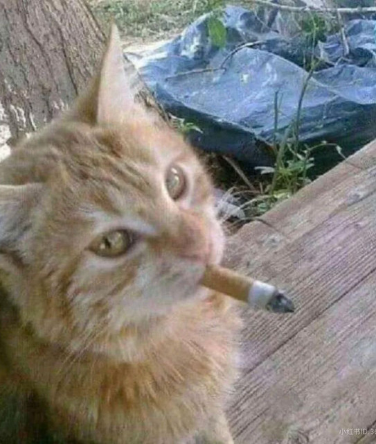 stopsmokinginbed
