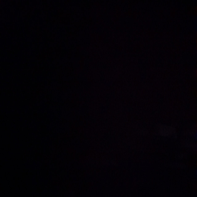 Lxyaltee