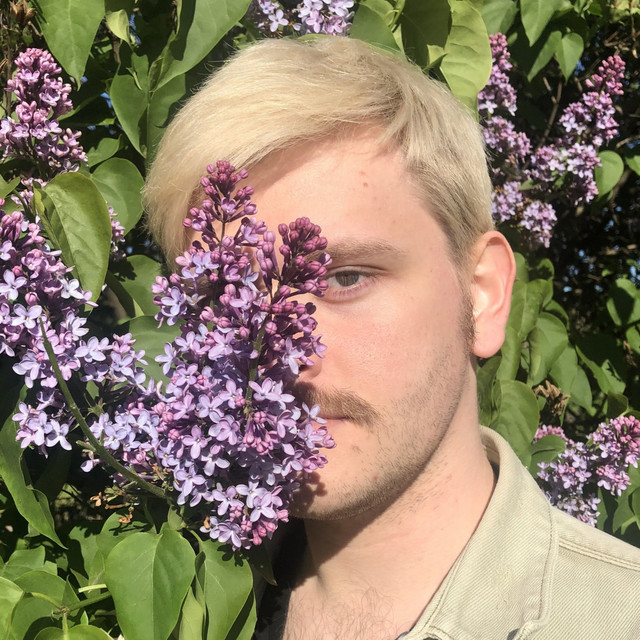 МС Безбазаров
