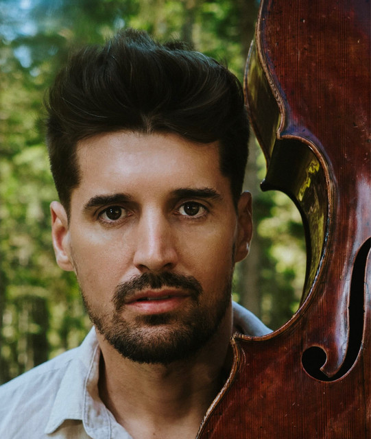 Luka Sulic