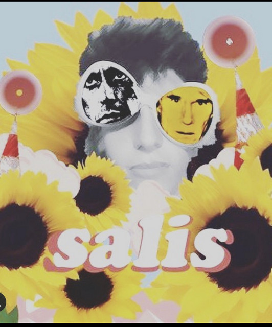 Salis Gsav