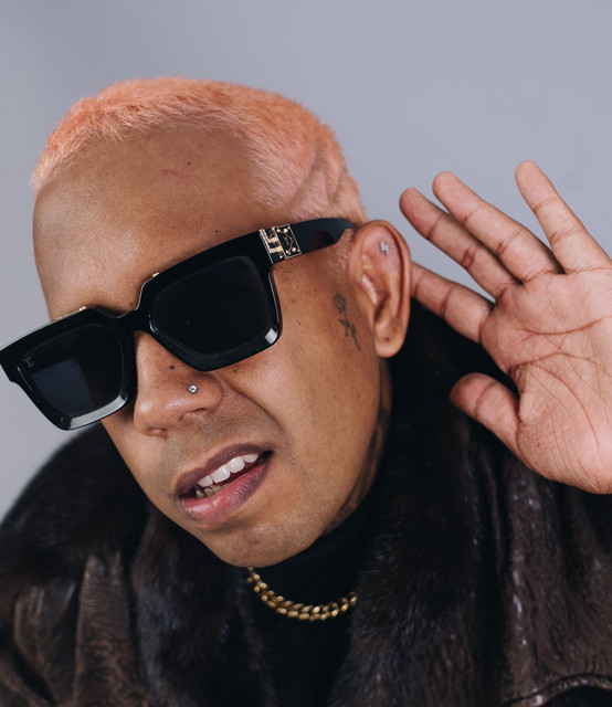 FlySinatra