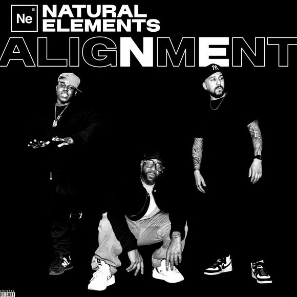 Natural Elements Image